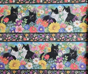 Cat´s Meow  250 kr/m