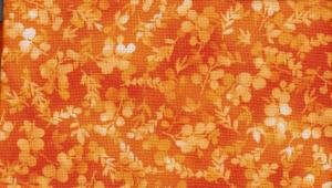 Fusions Collection  240 kr/m