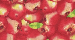 Sunshine Orchard  200 kr/m