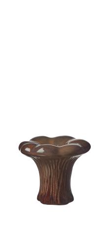 Mushrooms