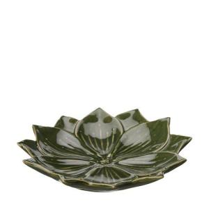Lilly Fat Lotus Grön