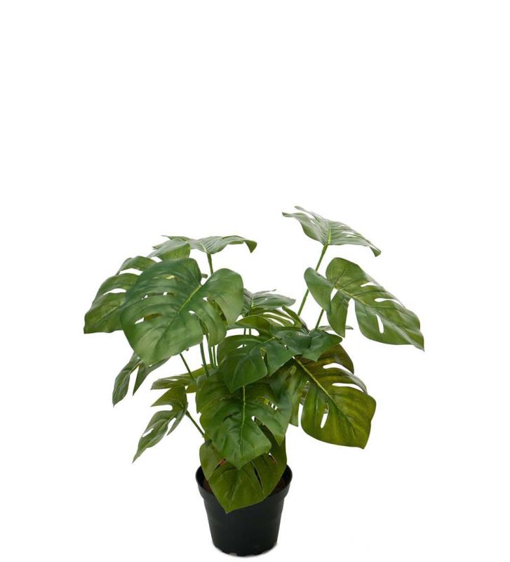 Monstera Konstväxt Grön