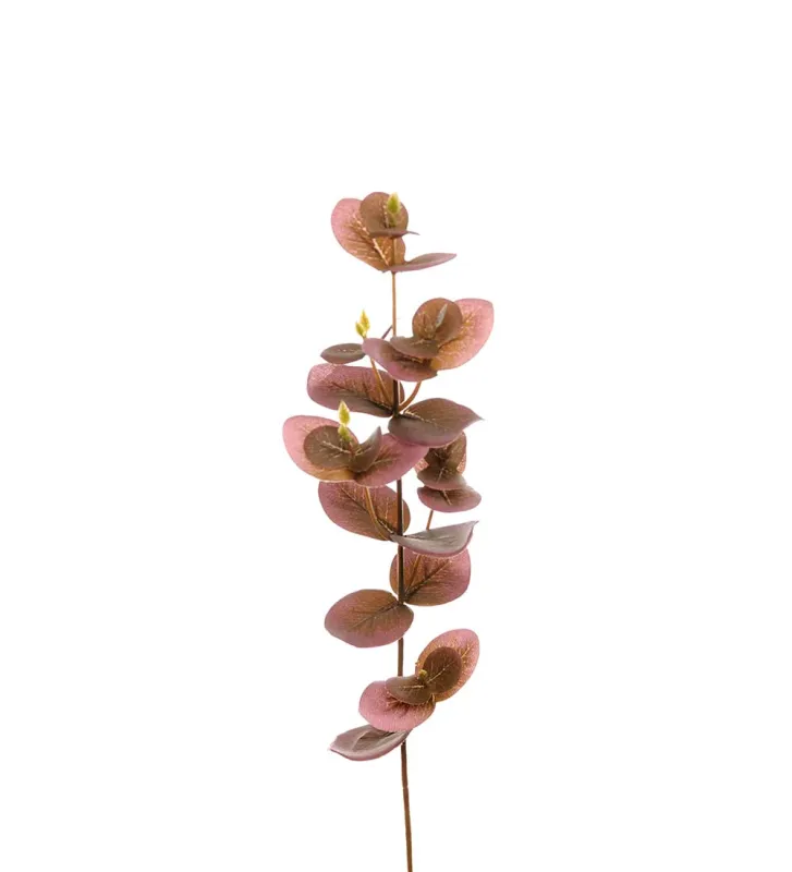 Eucalyptus Konstväxt