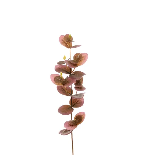 Eucalyptus Konstväxt