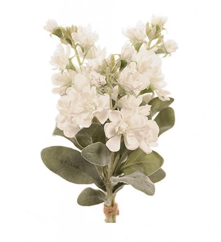 Lövkoja Konstväxt Vit