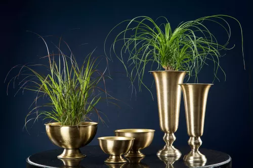 Tara Pokal/Vas Borstad Mässing