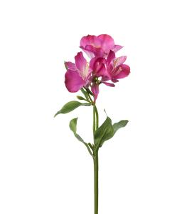 Alstromeria Konstväxt Lila