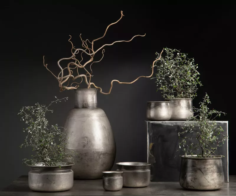 Giant Vas Cloudy/Rusty