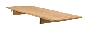 Filippa Iläggsskiva Ek
