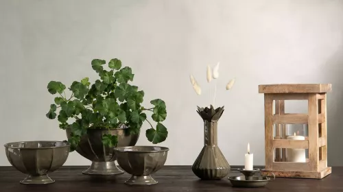 Emalj Ljushållare Olive