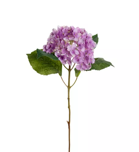 Hortensia Konstväxt Lila
