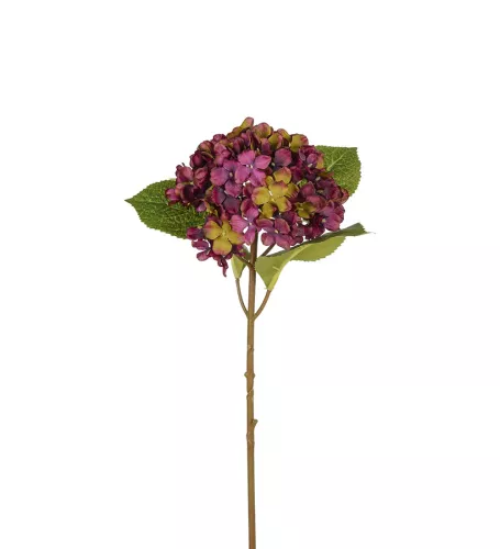 Hortensia Konstväxt Mörklila