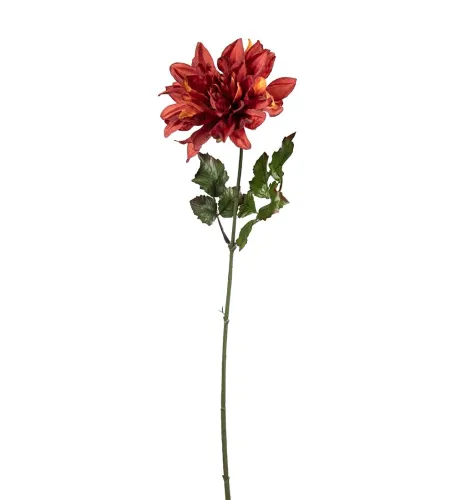 Dahlia Konstväxt Orange