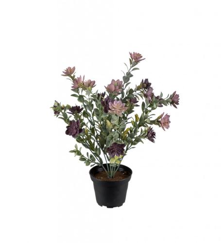 Succulent Konstväxt