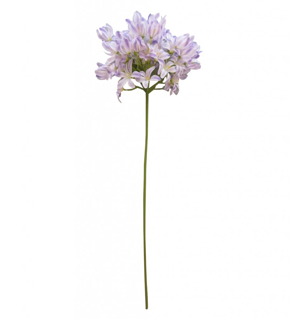 Agapanthus Konstväxt Ljuslila