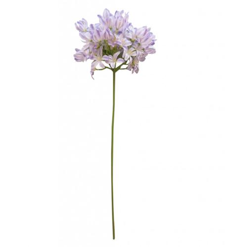 Agapanthus Konstväxt Ljuslila