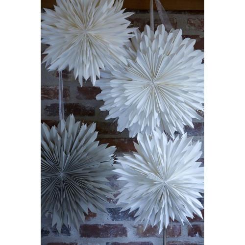 Spiky Pappersstjärna Sand