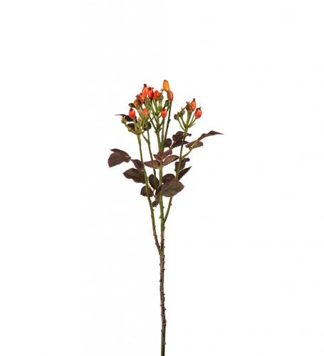 Nypon Konstväxt Orange