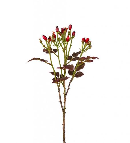 Nypon Konstväxt Röd