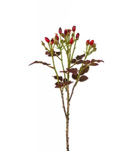 Nypon Konstväxt Röd