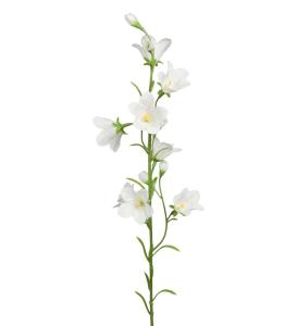 Blåklocka Konstväxt Vit