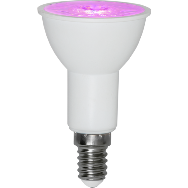 LED-Lampa E14 PAR16 Plant Light