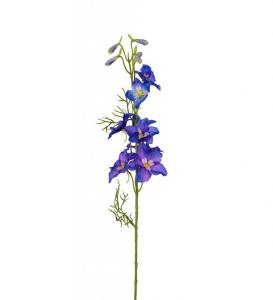 Delphinium Konstväxt