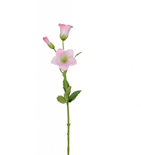 Campanula Konstväxt Ljusrosa