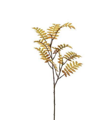 Rönnkvist Konstväxt Gul