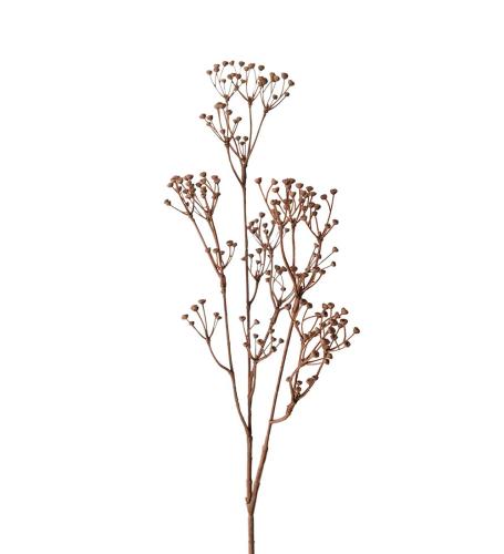 Talinum Konstväxt Brun
