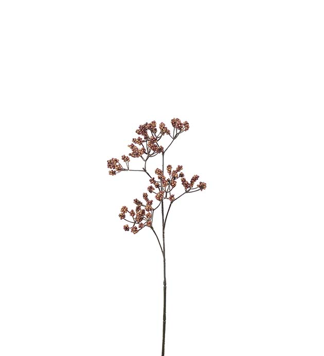 Bärkvist Konstväxt Orange