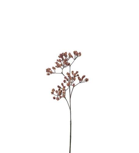 Bärkvist Konstväxt Orange