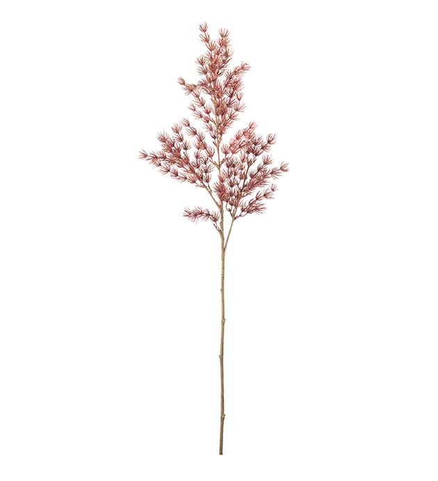Asparagus Konstväxt Rosa