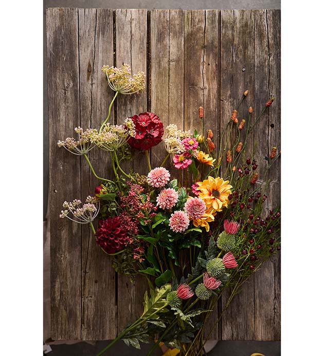 Scabiosa Konstväxt Röd