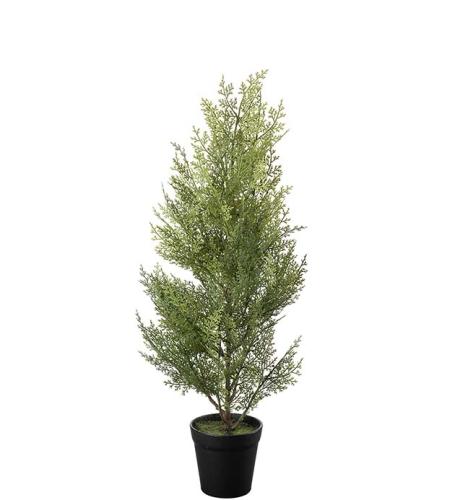 Cypress Konstväxt Grön