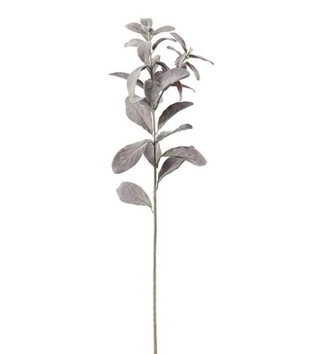 Salviakvist Konstväxt Lila