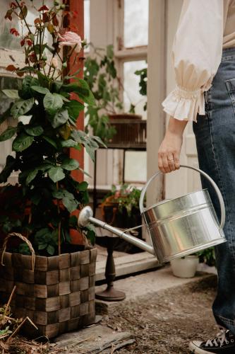 Marita Spånkorg Large