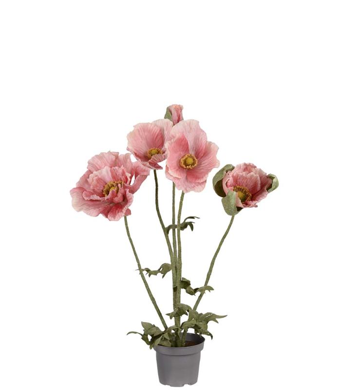 Vallmo Konstväxt Rosa