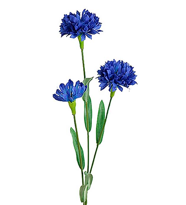 Blåklint Konstväxt Blå