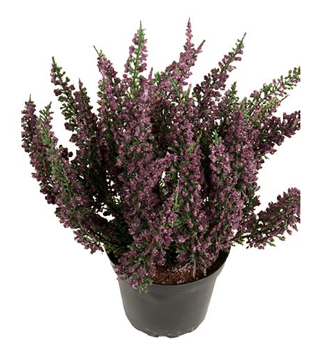 Ljung Konstväxt Lila
