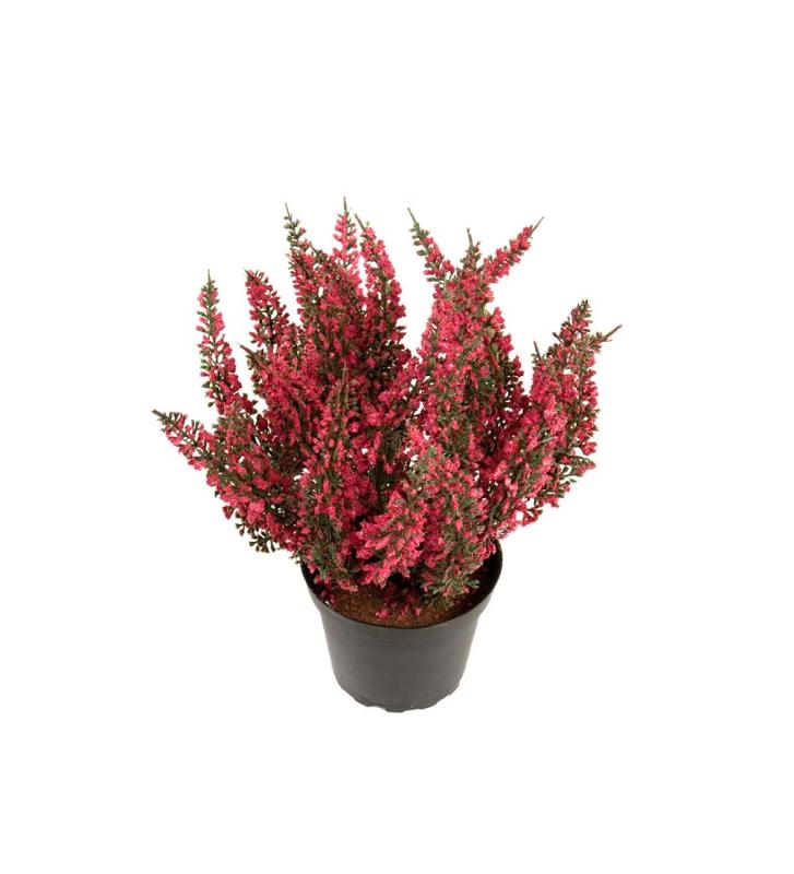 Ljung Konstväxt Rosa