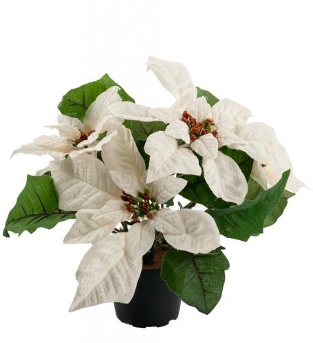 Julstjärna Konstväxt Vit