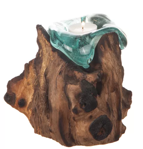 Glaslykta på trädrot