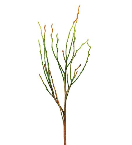 Blåbärskvist Konstväxt Brun