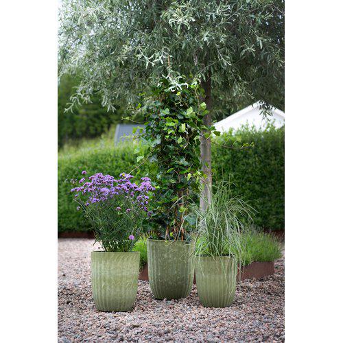 Yodit Kruka Grön Small