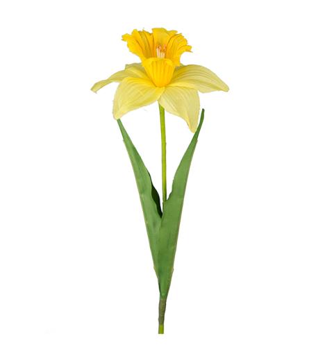 Påsklilja Konstväxt