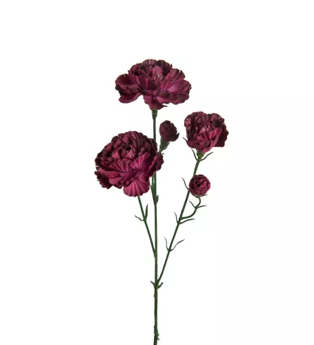 Elegance Nejlika Konstväxt Burgundy