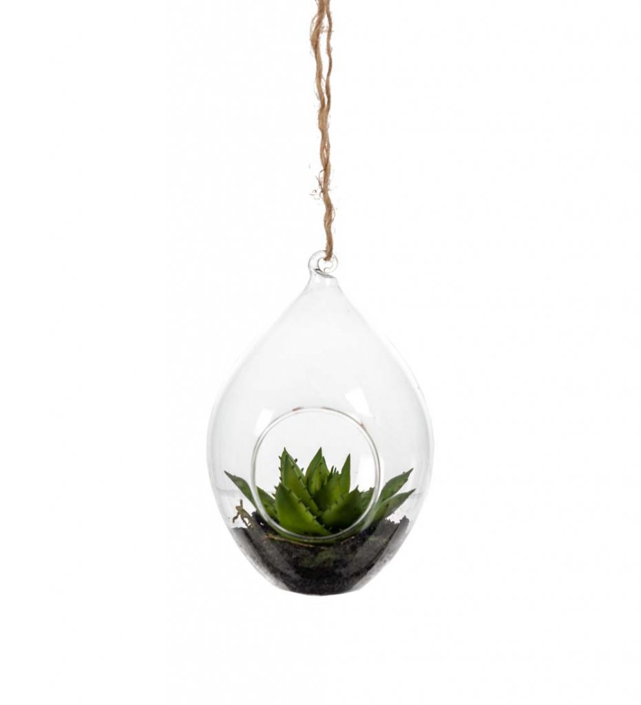 Succulent I Glas