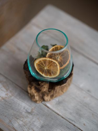 Glasskål på trädrot