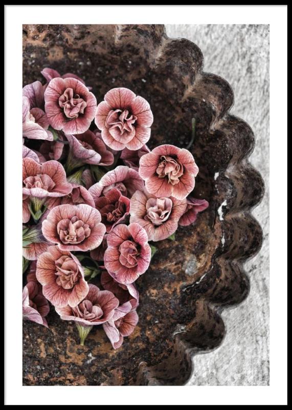 Small Red Flowers Poster